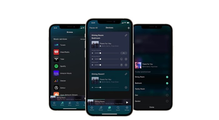 WiiM Pro