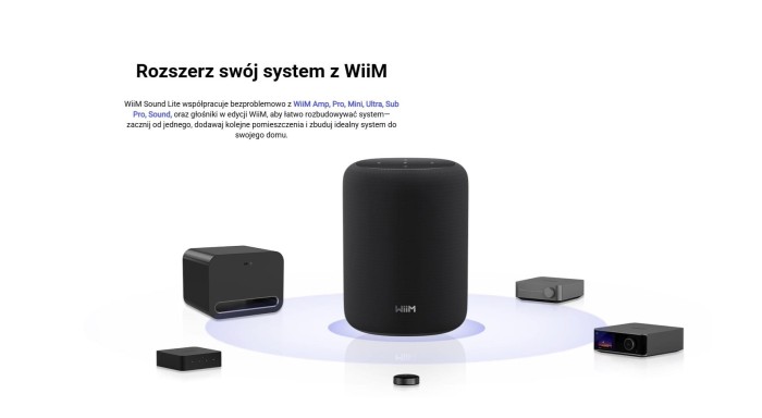 WiiM Sound Lite Czarny