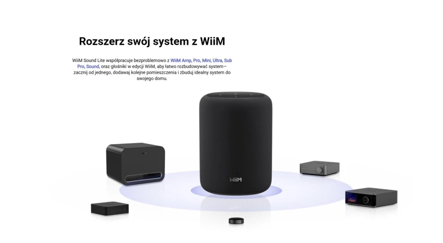WiiM Sound Lite Czarny
