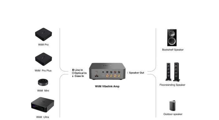 WiiM Vibelink Amp Ciemnoszary