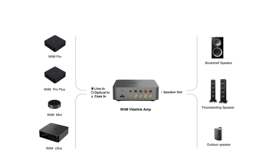 WiiM Vibelink Amp Ciemnoszary