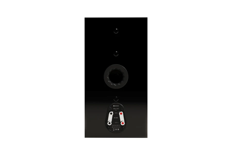 monitor-audio-silver-100-8g-high-gloss-black-kolumny-podstawkowe (1).jpg