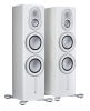 MA_Platinum_300_ISO_White.png