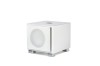 Copy of T9X_Wht_TQ_Grill.jpg